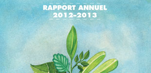 Proposition d'illustration pour le rapport Annuel CIBIM 2013.